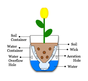 bottle planters planter sub irrigated soda pop illustration water bottles using hanging diy plants container simple reference garden irrigation system